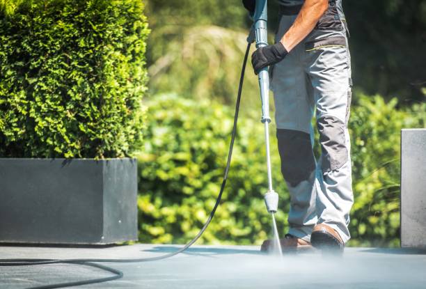 Best Soft Washing  in New Roads, LA