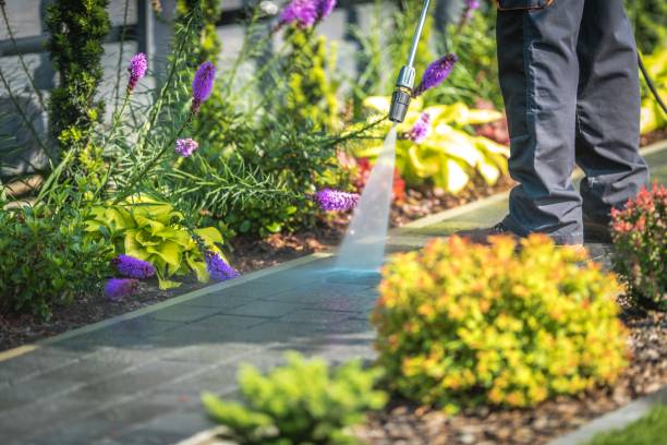 Best Sidewalk and Walkway Cleaning  in New Roads, LA